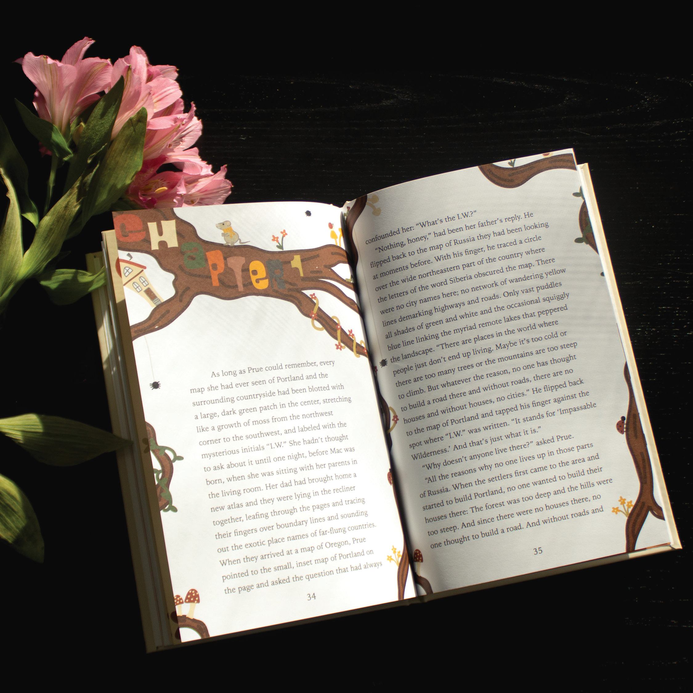 Children's Book Redesign