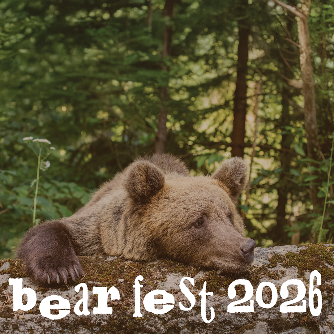 Bear Fest